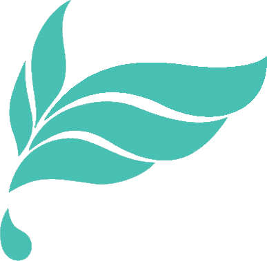 ウィングス京都