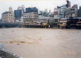 茶色く濁った鴨川の様子