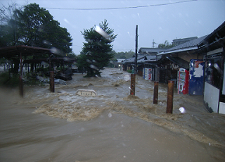 嵐山中之島の浸水の様子